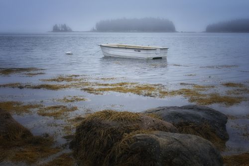 rocks seaweed boat