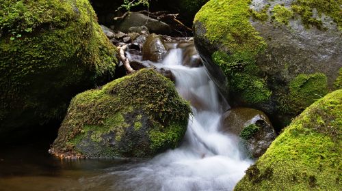 rocks nature green