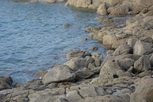rocks sea nature