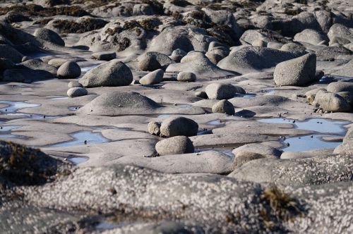 rocks stones beach