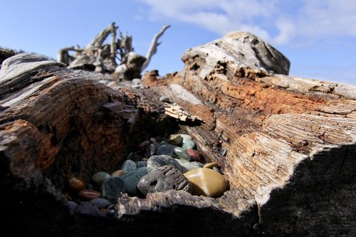 rocks  driftwood  sky