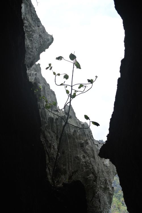 rocks caves limestone