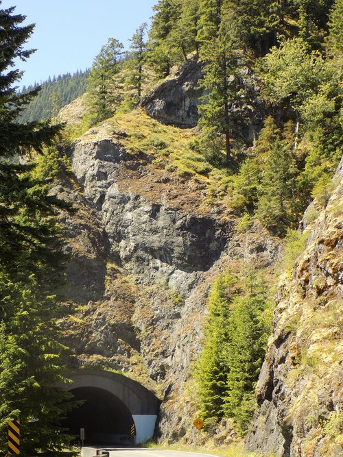 rocks  trees  tunnel