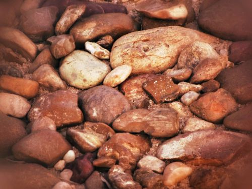 rocks ground brown