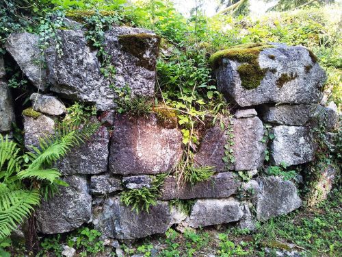 rocks wall alpines