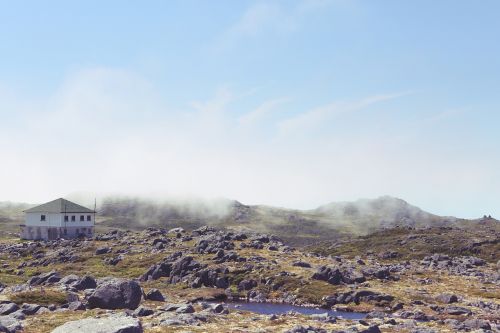 rocks field landscape