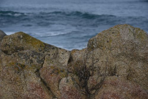 Rocks And Ocean