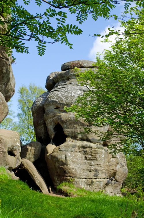 Rocks And Tree