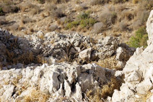 Rocks Background