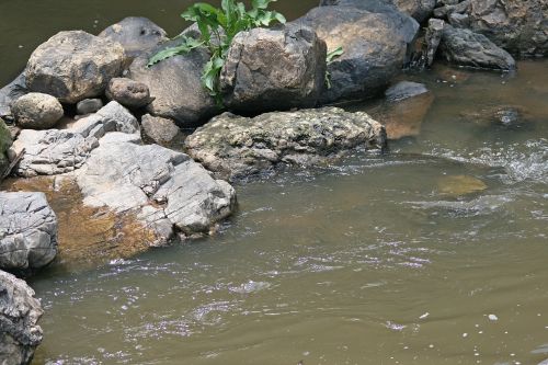 Rocks In A River