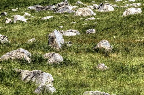 Rocks In Pasture Background