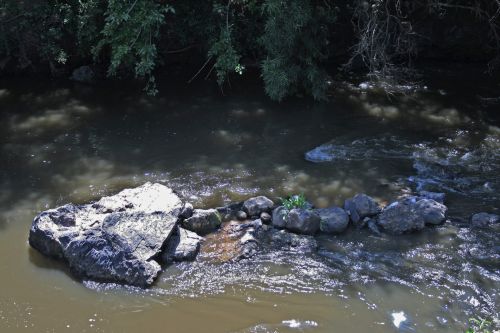 Rocks In Stream