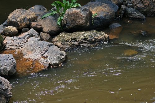 rocks in stream stream water