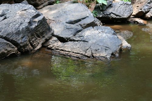 rocks in stream stream brook