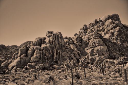 Rocks Of Joshua Tree California