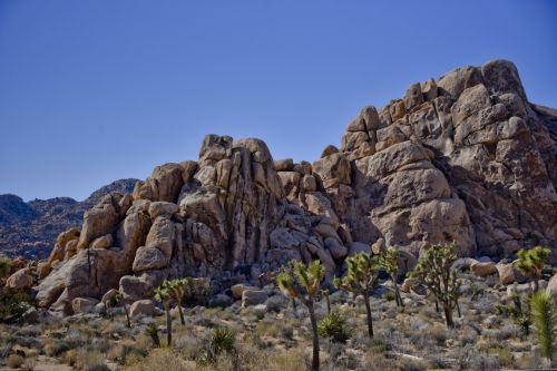 Rocks Of Joshua Tree California