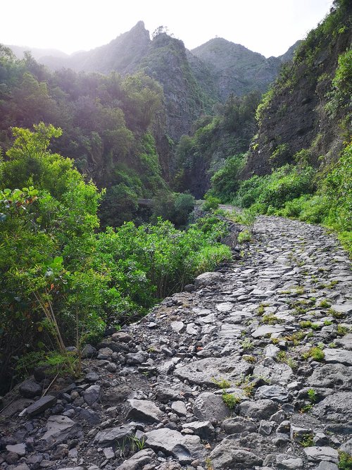 rocky  path  road