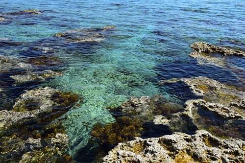 rocky coast  sea  transparent