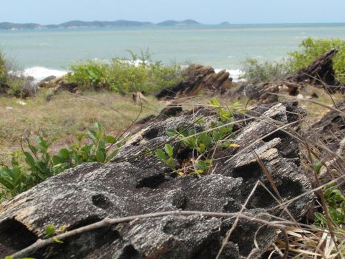 Rocky Coastline