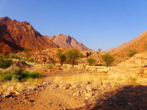 Rocky Desert Landscape