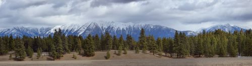 rocky mountain trench ponderosa pine panorama