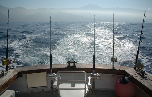 rod ocean fishing