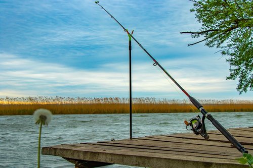rod  fishing  fishing reel