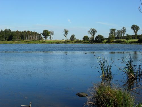 rodder maar brohltal landscape