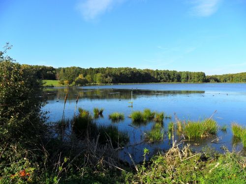 rodder maar brohltal landscape