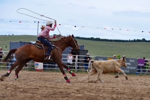 rodeo calf roping arena