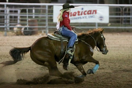 rodeo  horse  barrel