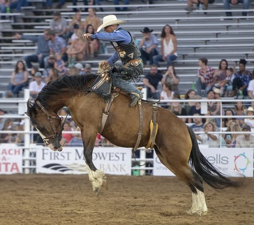 rodeo  horse  competition