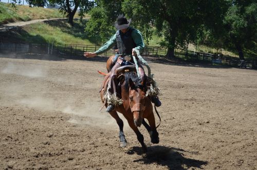 rodeo riding cowboy