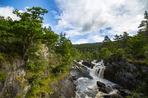 Rogie Falls, Scotland