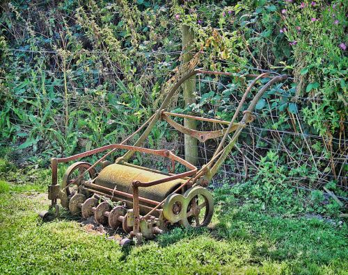 roller garden grass