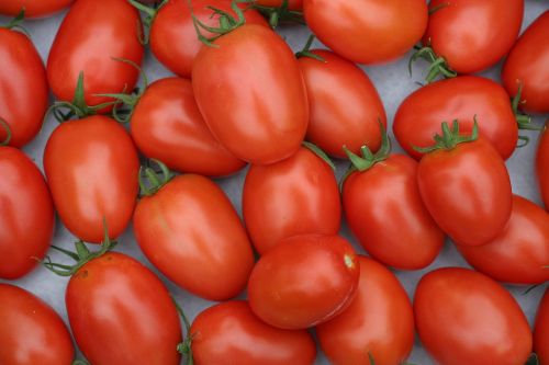 roma tomatoes tomatoes salad