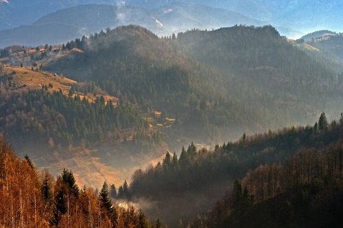 carpathians piatra craiului mountain