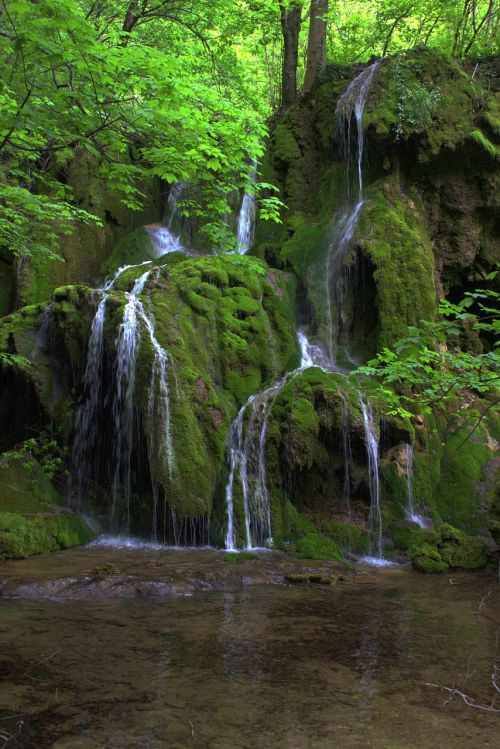 romania waterfall forest