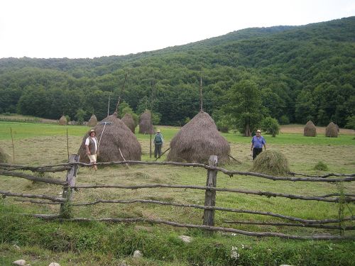 romania hay fork