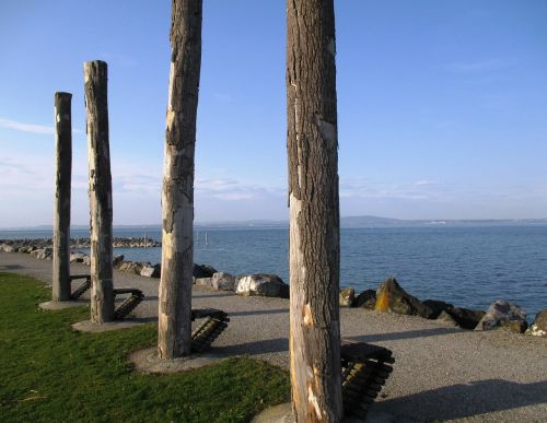 romanshorn attraction timbers natural
