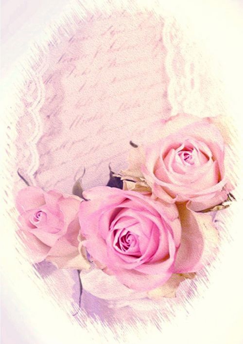 romantic roses vintage