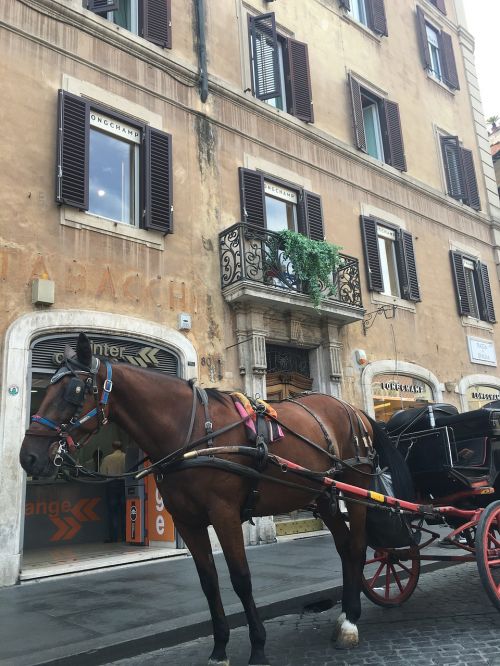 rome horse carriage