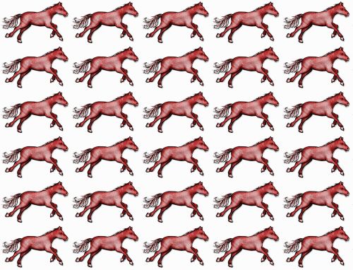 Red Brown Horses