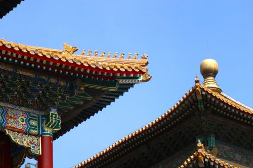 roof china dragon