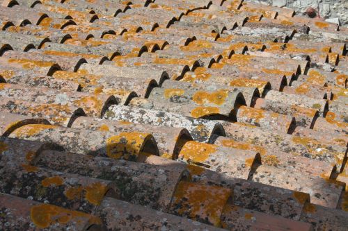 roof tiles chapman