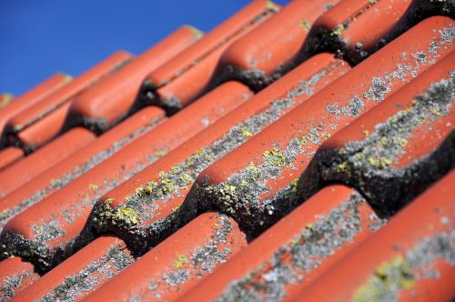 roof tile clay tiles