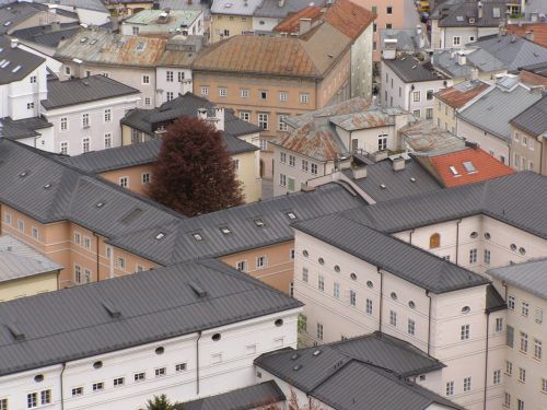 roof roof houses single tree
