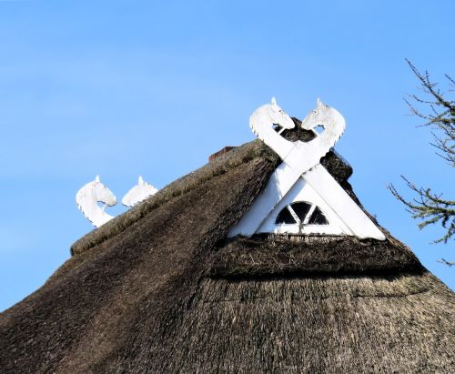 roof thatched roof architecture