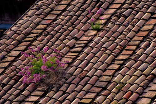 roof  roofing  tiles