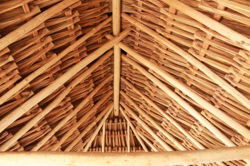 roof branch architecture